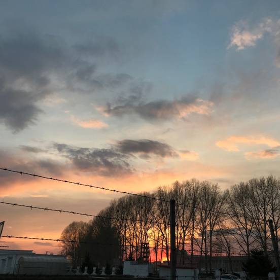 6A445938831882723CD3C40BD0A059C9